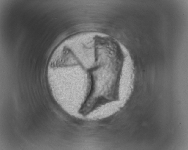 X0000081350099200702082305