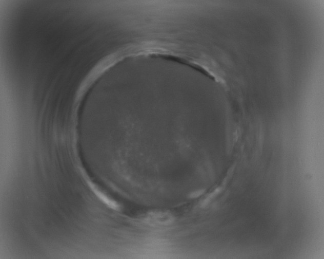 X0000081350101200702082305