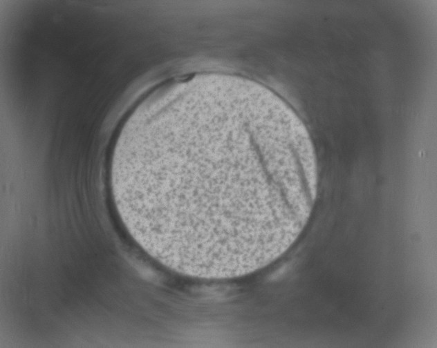 X0000081350103200702082305