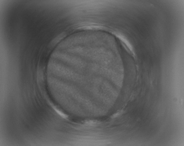 X0000081350105200702082305