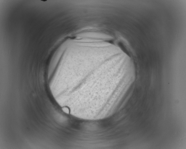 X0000081350106200702082305