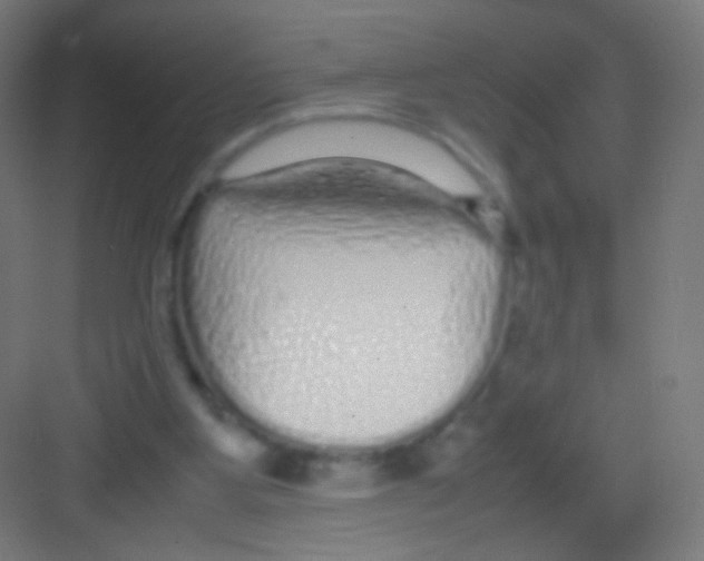 X0000081350107200702082305