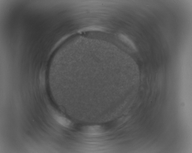 X0000081350108200702082305