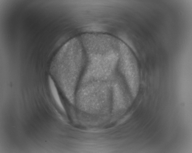 X0000081350109200702082305