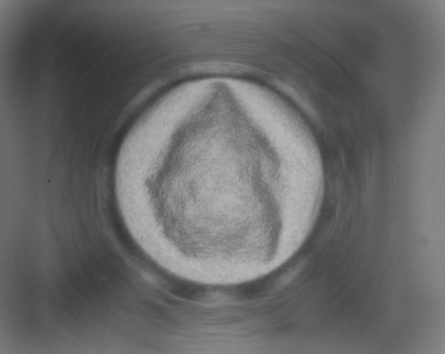 X0000081350111200702082305