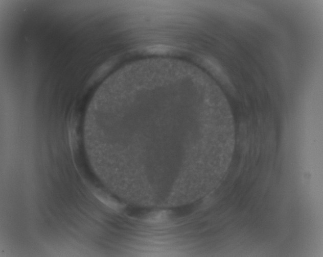 X0000081350116200702082305