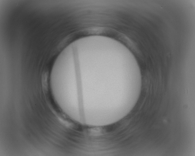 X0000081350118200702082304