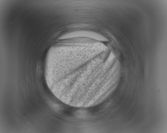 X0000081350119200702082304