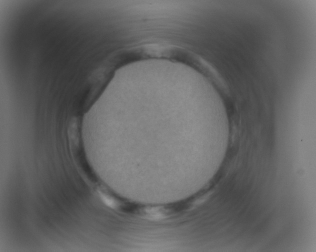 X0000081350121200702082304