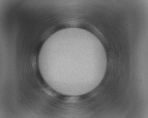 X0000081350122200702082304