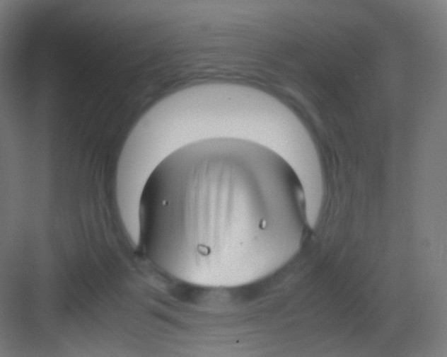 X0000081350123200702082304