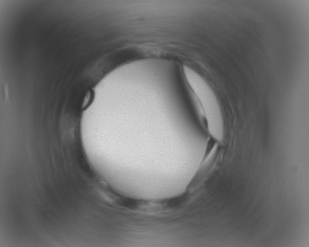 X0000081350125200702082304