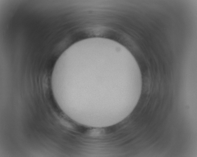 X0000081350126200702082304