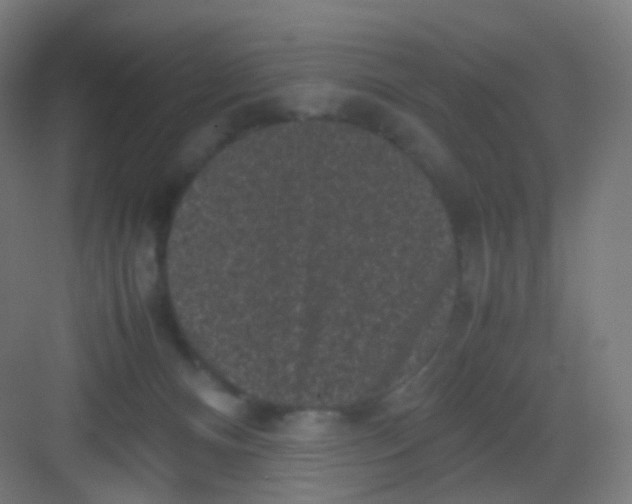 X0000081350128200702082304