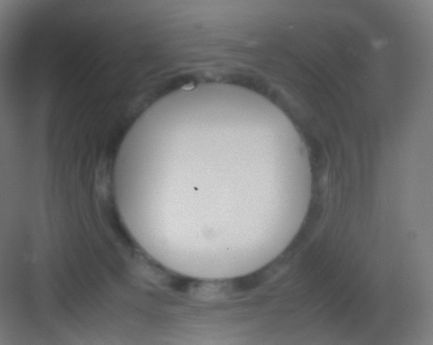 X0000081350129200702082304