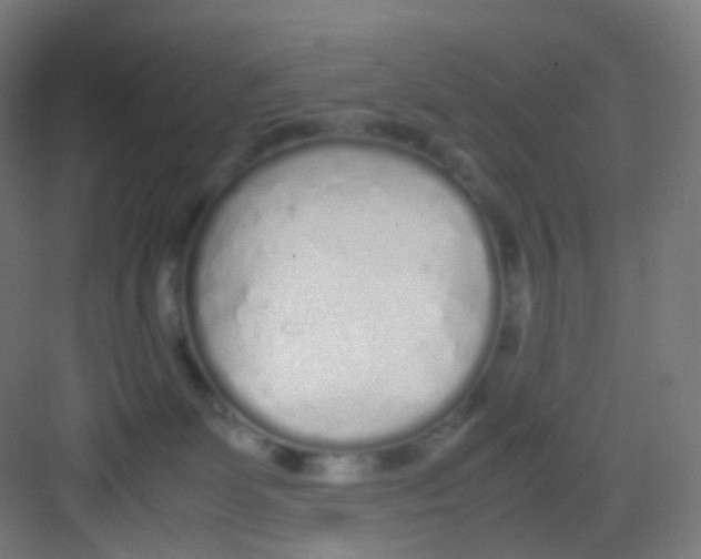 X0000081350131200702082304