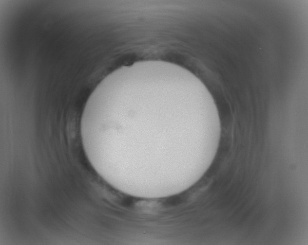 X0000081350133200702082304