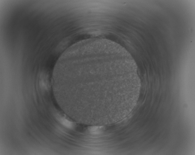 X0000081350136200702082304