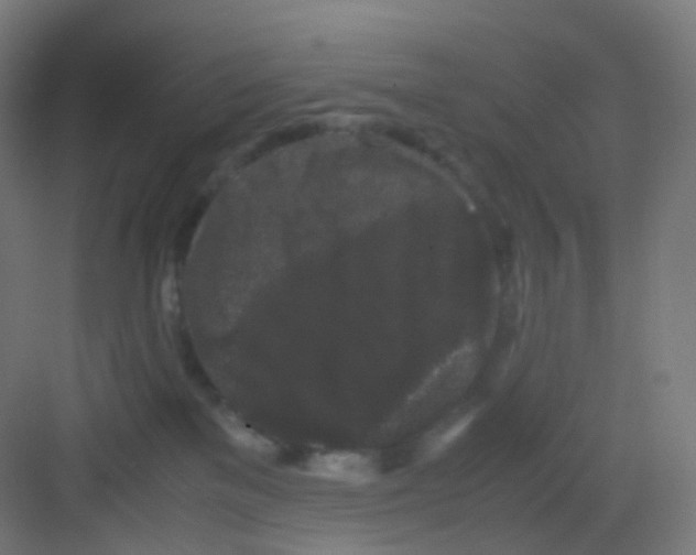 X0000081350137200702082304