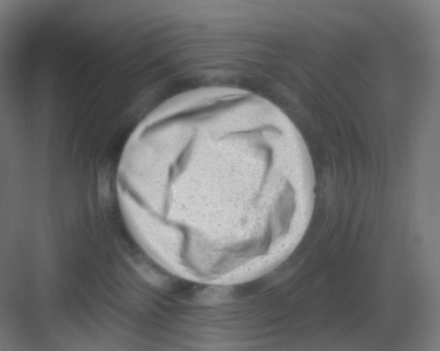 X0000081350138200702082304