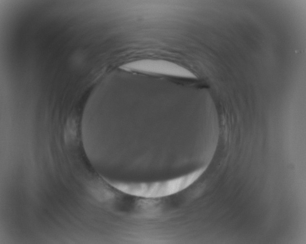 X0000081350139200702082304