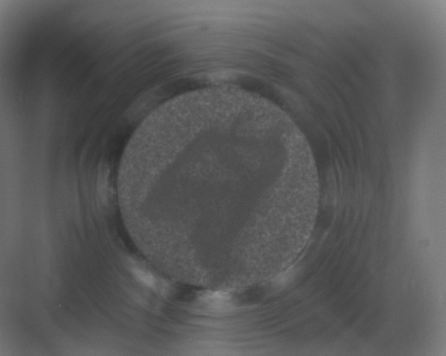 X0000081350140200702082304