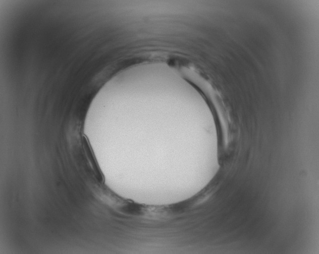 X0000081350141200702082304