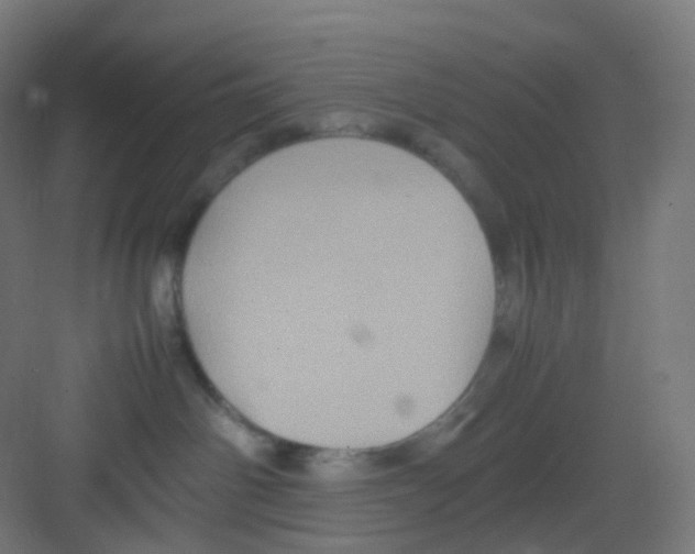 X0000081350142200702082304