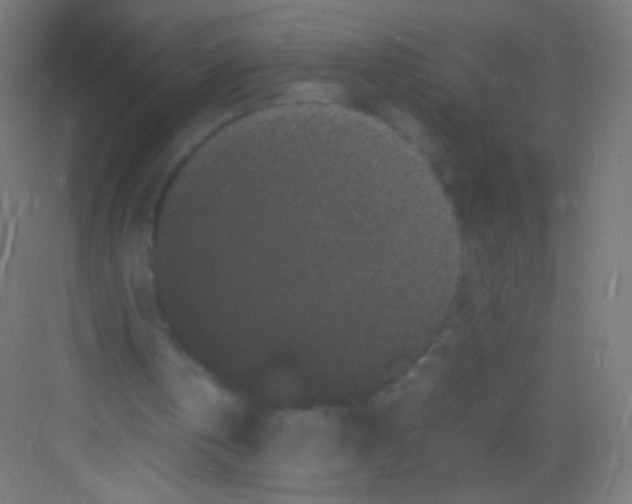 X0000081350146200702082303