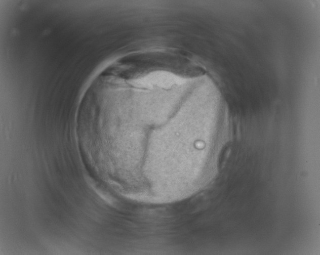 X0000081350147200702082303