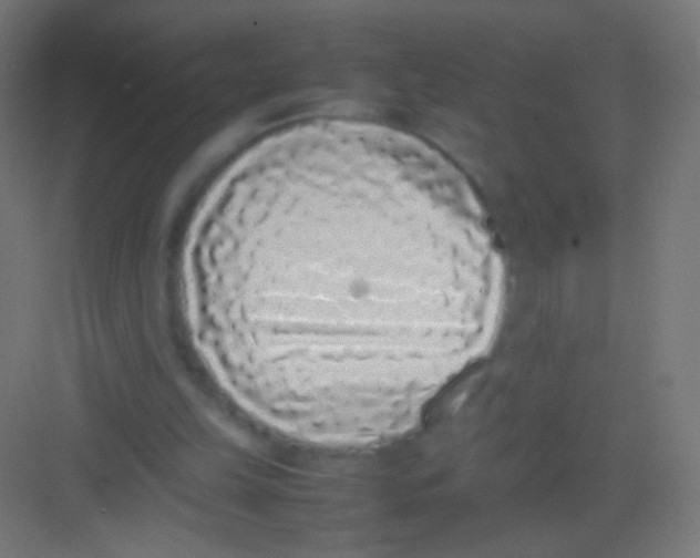 X0000081350149200702082303