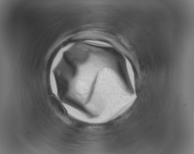 X0000081350150200702082303