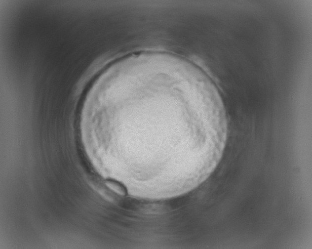 X0000081350151200702082303