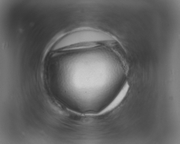 X0000081350152200702082303