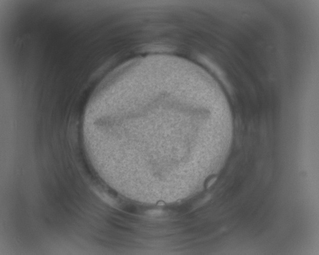 X0000081350153200702082303