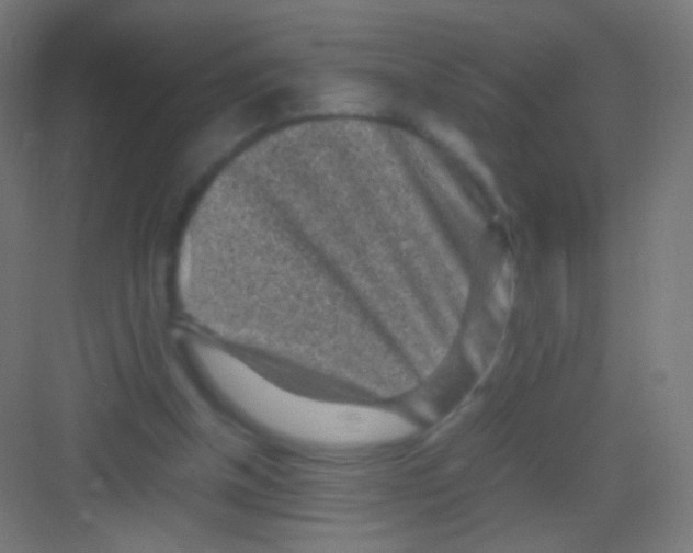 X0000081350154200702082303