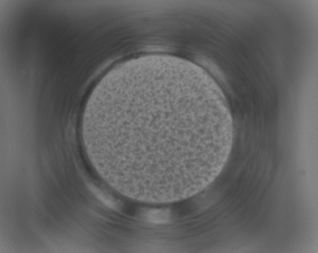 X0000081350155200702082303