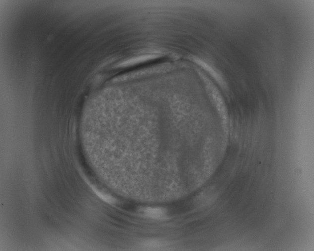 X0000081350157200702082303