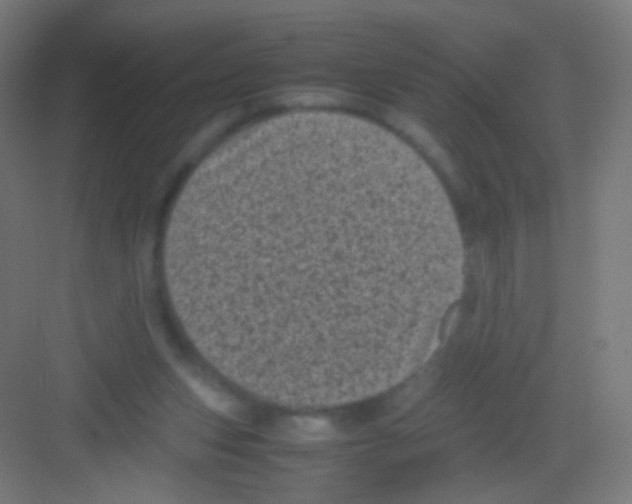 X0000081350159200702082303