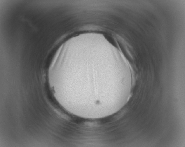 X0000081350160200702082303