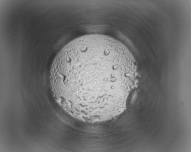 X0000081350161200702082304