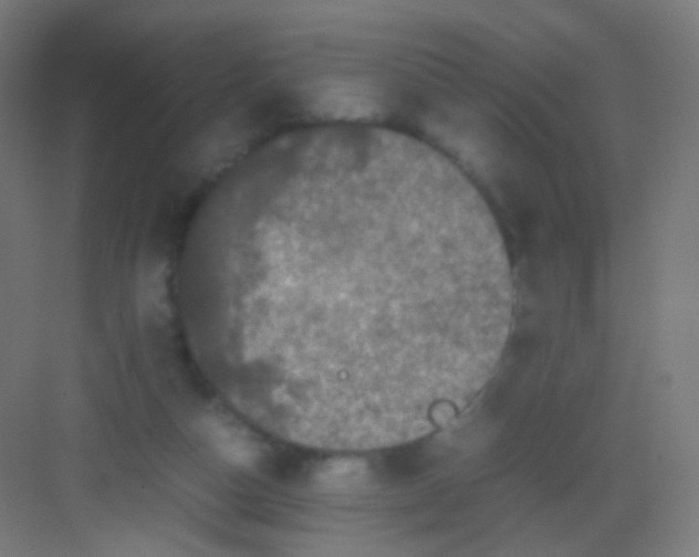 X0000081350162200702082304