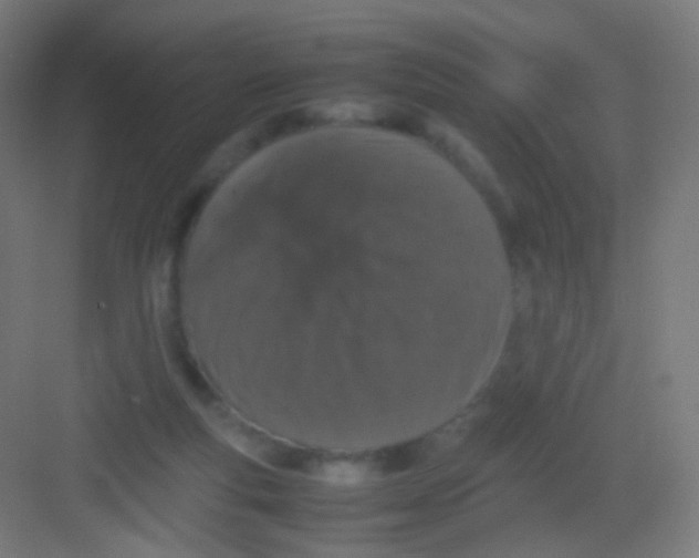 X0000081350163200702082304