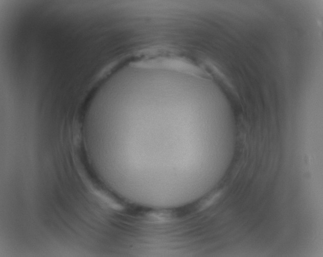 X0000081350164200702082304