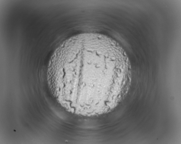 X0000081350165200702082304