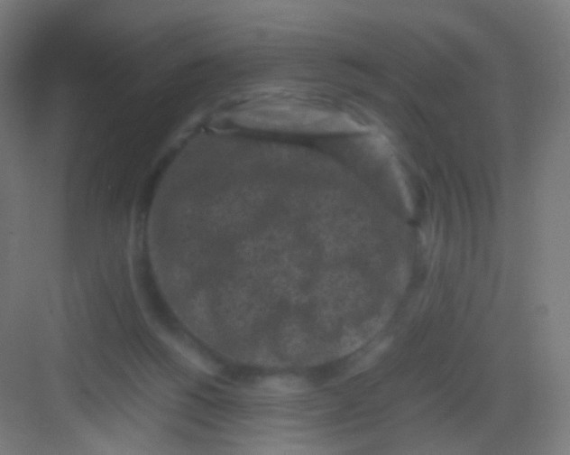 X0000081350168200702082304