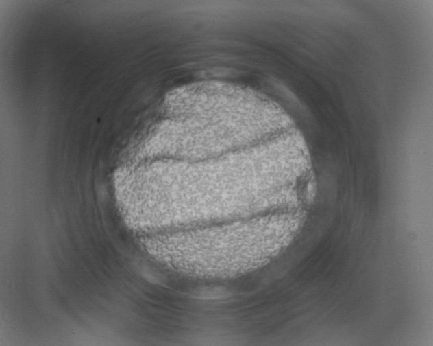 X0000081350169200702082304