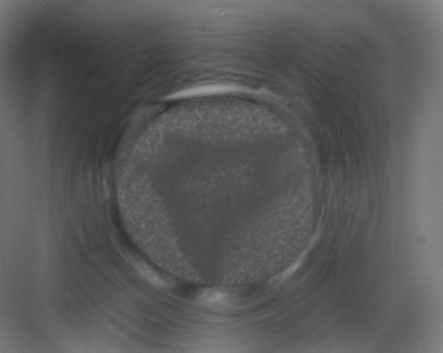 X0000081350174200702082304