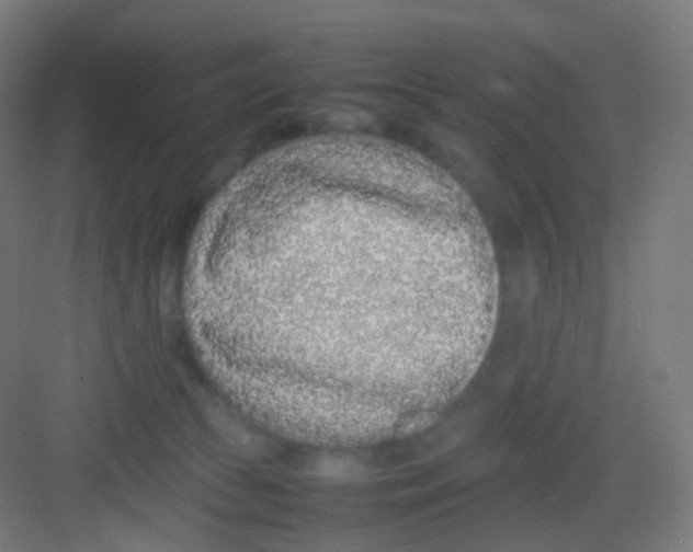 X0000081350177200702082304