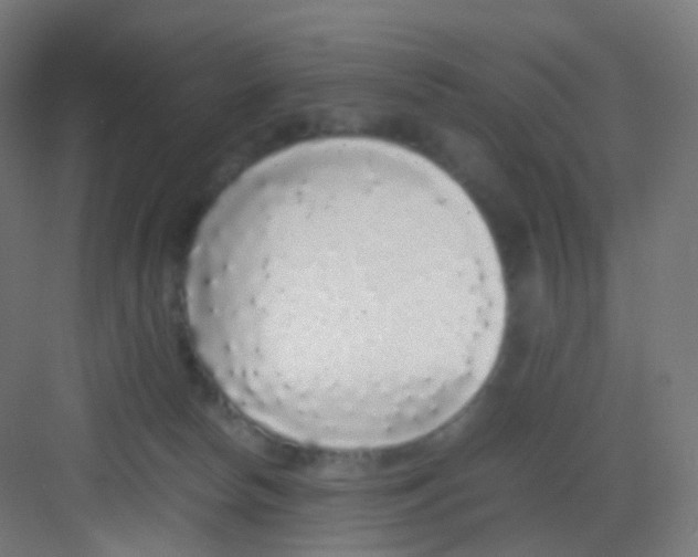 X0000081350178200702082304